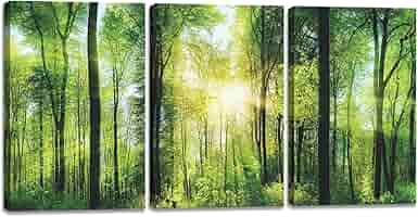 Amazon.co.jp: 森 絵 木 3枚 風景画 山 アート パネル 日光 日